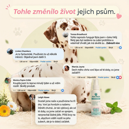 Dentaclean Sprej - Paw Fresh